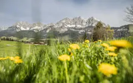 Fruehling-in-den-Kitzbueheler-Alpen